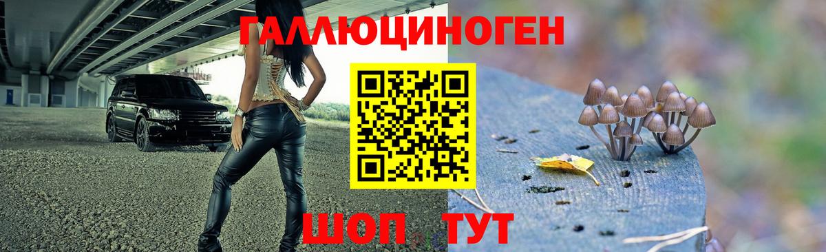 Приморско-Ахтарск  Галлюциногенные грибы Psilocybine cubensis  где найти   Вход с VPN 